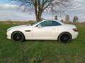 Mercedes-Benz SLK 250 7G,18",MB Pano+ Motor neu 65TKM mit RG!! Weiß - thumbnail 19