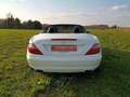 Mercedes-Benz SLK 250 7G,18",MB Pano+ Motor neu 65TKM mit RG!! Weiß - thumbnail 13