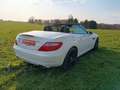 Mercedes-Benz SLK 250 7G,18",MB Pano+ Motor neu 65TKM mit RG!! Weiß - thumbnail 14