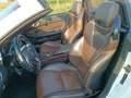 Mercedes-Benz SLK 250 7G,18",MB Pano+ Motor neu 65TKM mit RG!! Weiß - thumbnail 5