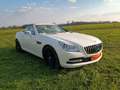 Mercedes-Benz SLK 250 7G,18",MB Pano+ Motor neu 65TKM mit RG!! Weiß - thumbnail 3