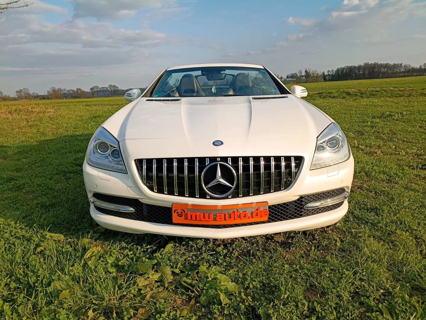Mercedes-Benz SLK 250 7G,18",MB Pano+ Motor neu 65TKM mit RG!! Weiß - 2