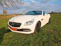 Mercedes-Benz SLK 250 7G,18",MB Pano+ Motor neu 65TKM mit RG!! Weiß - thumbnail 1