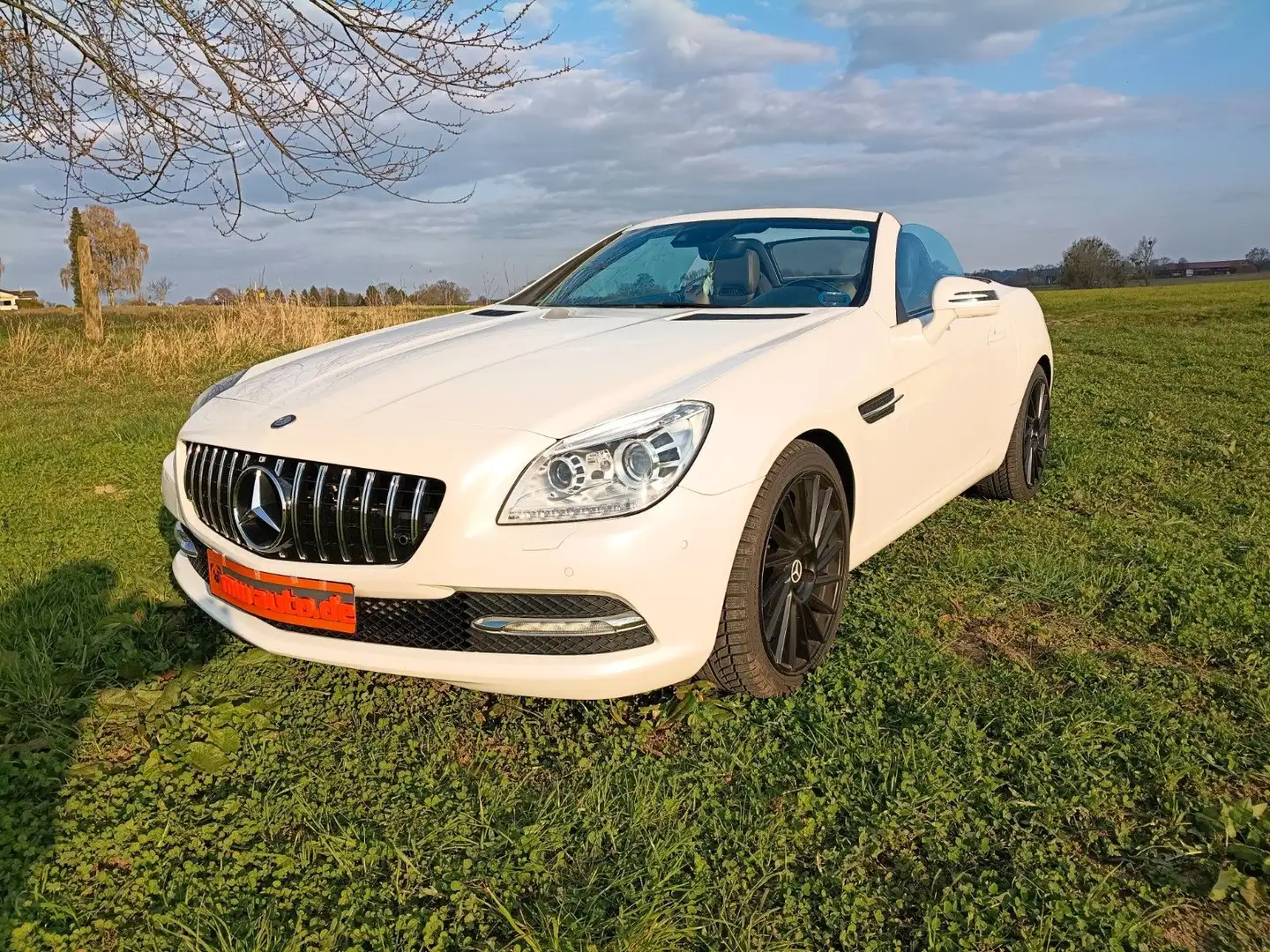 Mercedes-Benz SLK 250 7G,18",MB Pano+ Motor neu 65TKM mit RG!! Weiß - 1