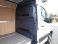 Mercedes-Benz Sprinter 317 CDI RWD 9G-Tronic L2H2 / AHK 3500 KG Weiß - thumbnail 20
