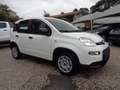 Fiat Panda 1000 HYBRID PANDA 70CV KM 0 White - thumbnail 1
