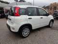 Fiat Panda 1000 HYBRID PANDA 70CV KM 0 White - thumbnail 4