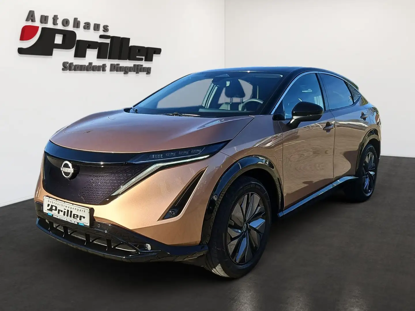 Nissan Ariya Basis 63 kWh/LED/DAB+/ProPilot/22 KW OBC Braun - 1