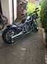 Harley-Davidson Night Rod 10th Anniversary Edition Grey - thumbnail 4