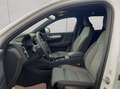 Volvo XC40 XC40 B3 B DKG Plus Dark Pano * Winter-Paket White - thumbnail 10