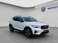 Volvo XC40 XC40 B3 B DKG Plus Dark Pano * Winter-Paket White - thumbnail 8