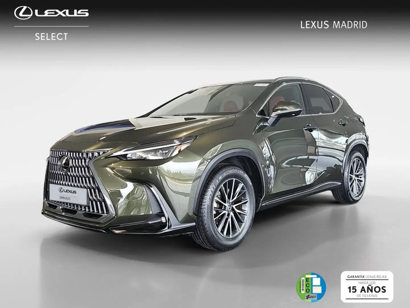 Lexus NX 350h Executive 2WD Grün - 1