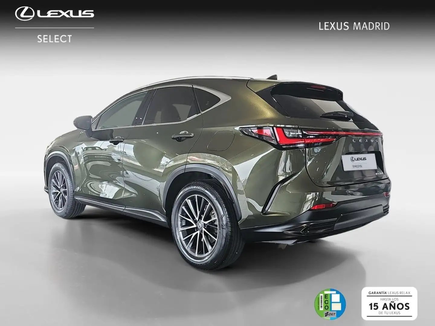 Lexus NX 350h Executive 2WD Grün - 2