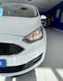Ford C-Max 1.0 Ecoboost Auto-S&S Trend+ 100 Blanc - thumbnail 13