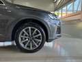 Audi Q7 55 TFSI e quattro S line Grau - thumbnail 6