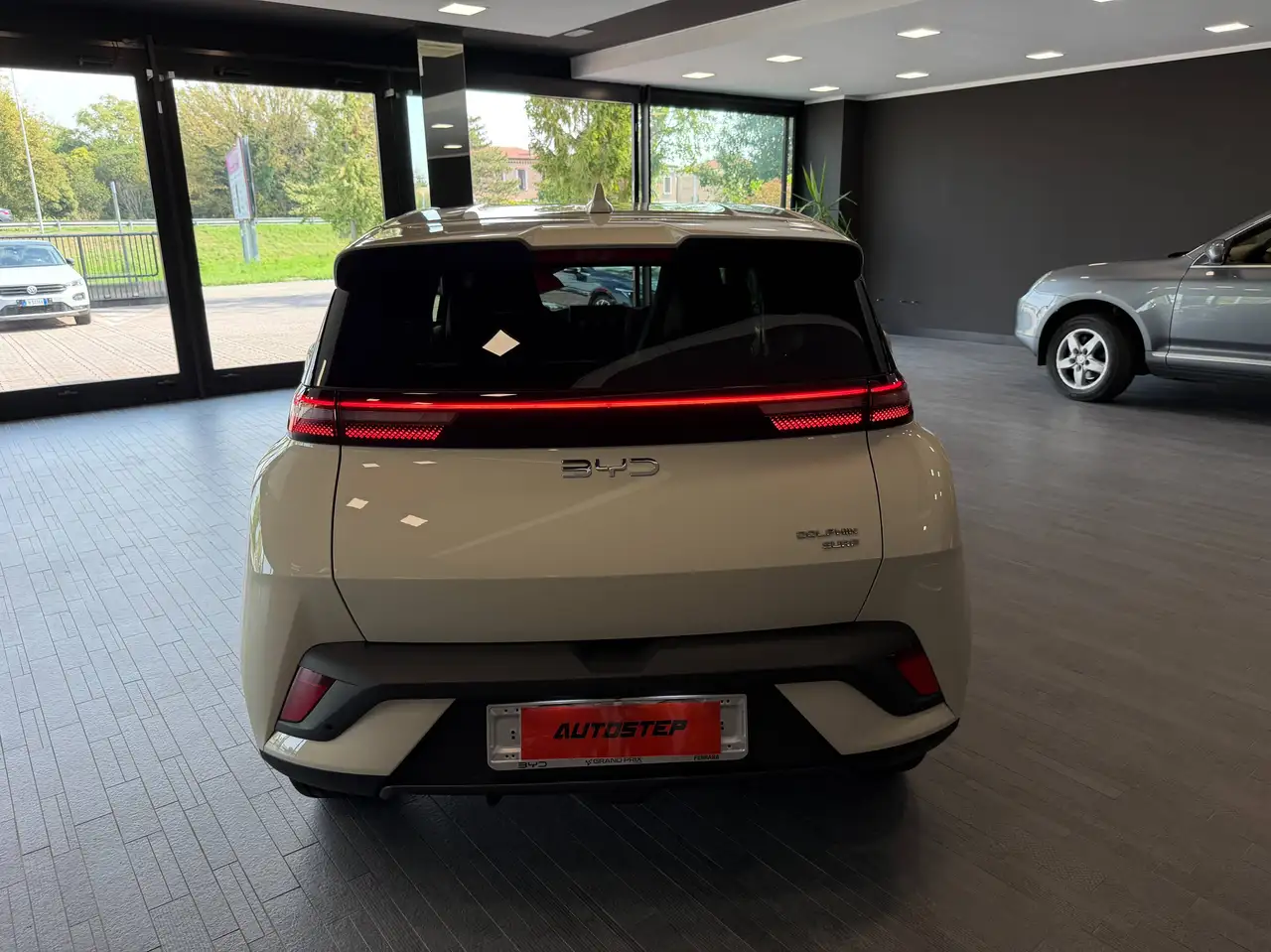 BYD DOLPHIN SURF