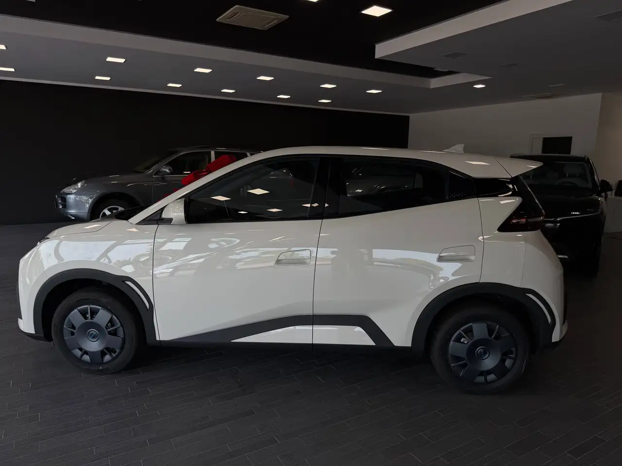 BYD DOLPHIN SURF