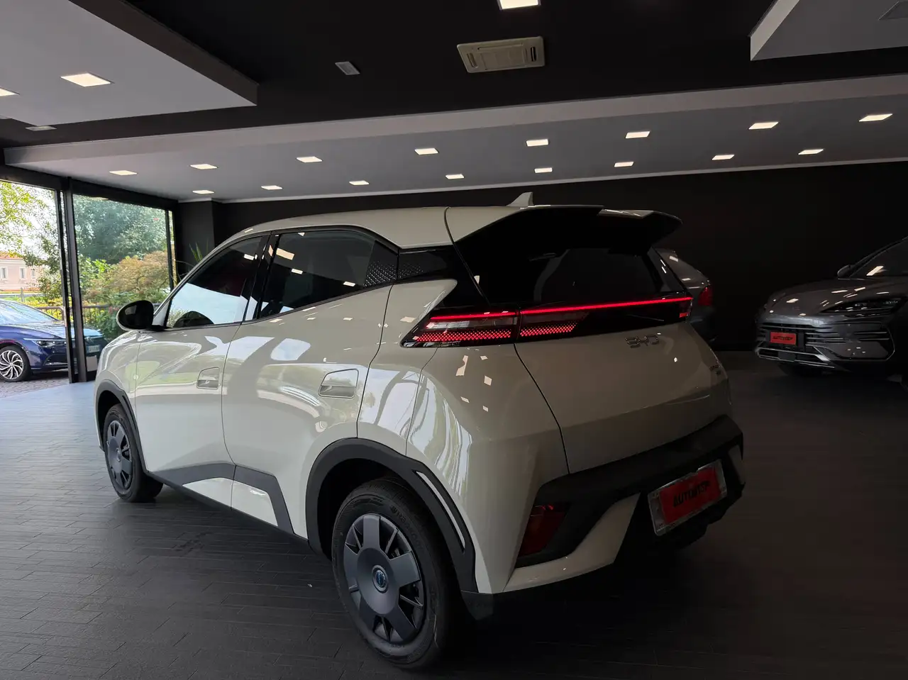 BYD DOLPHIN SURF