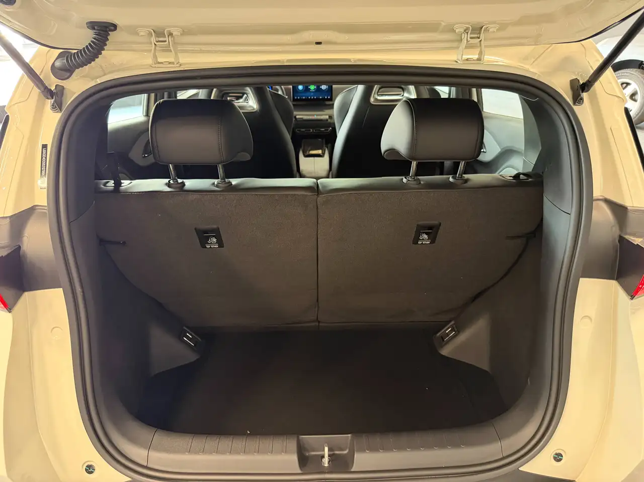 BYD DOLPHIN SURF