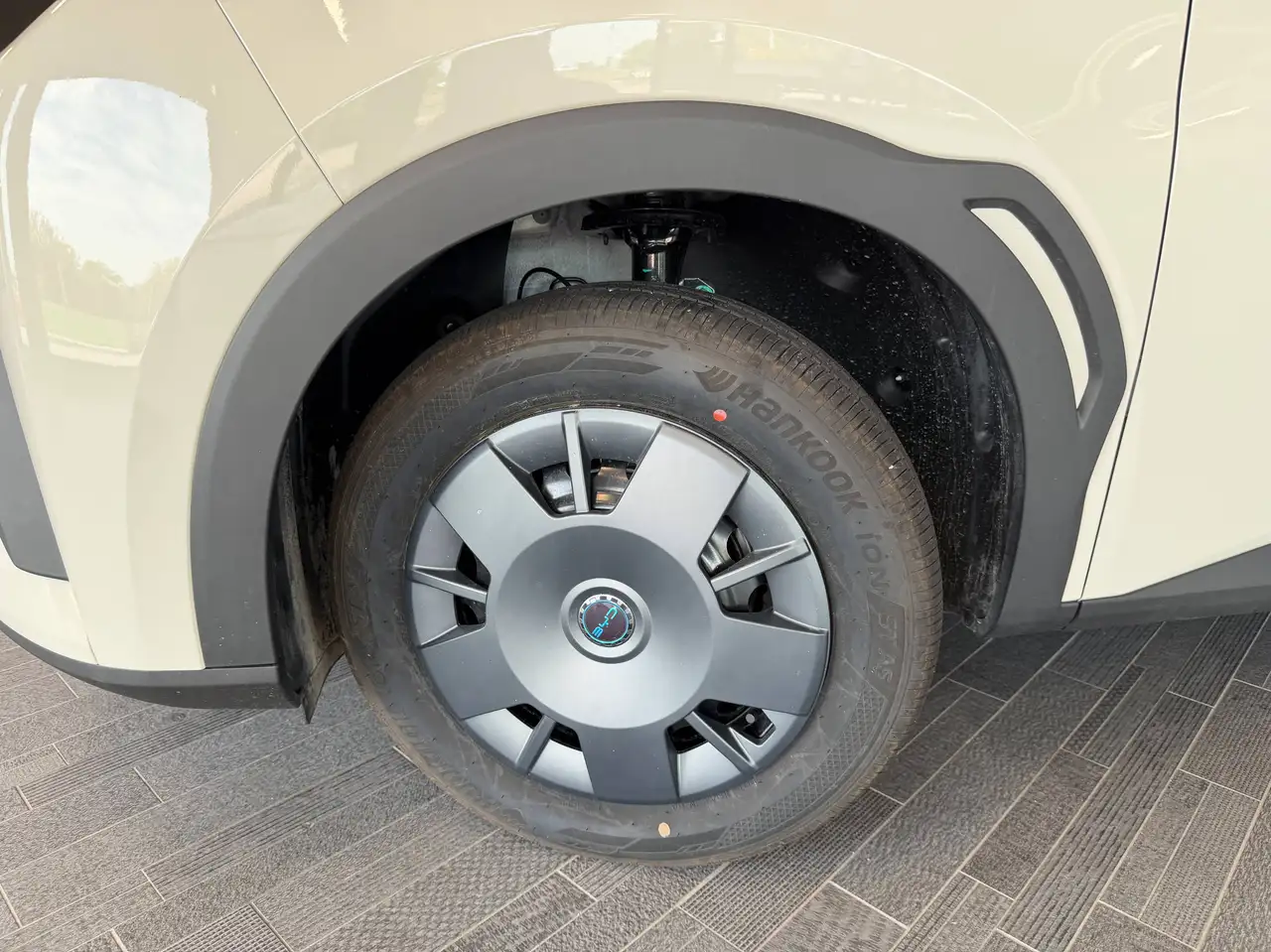 BYD DOLPHIN SURF