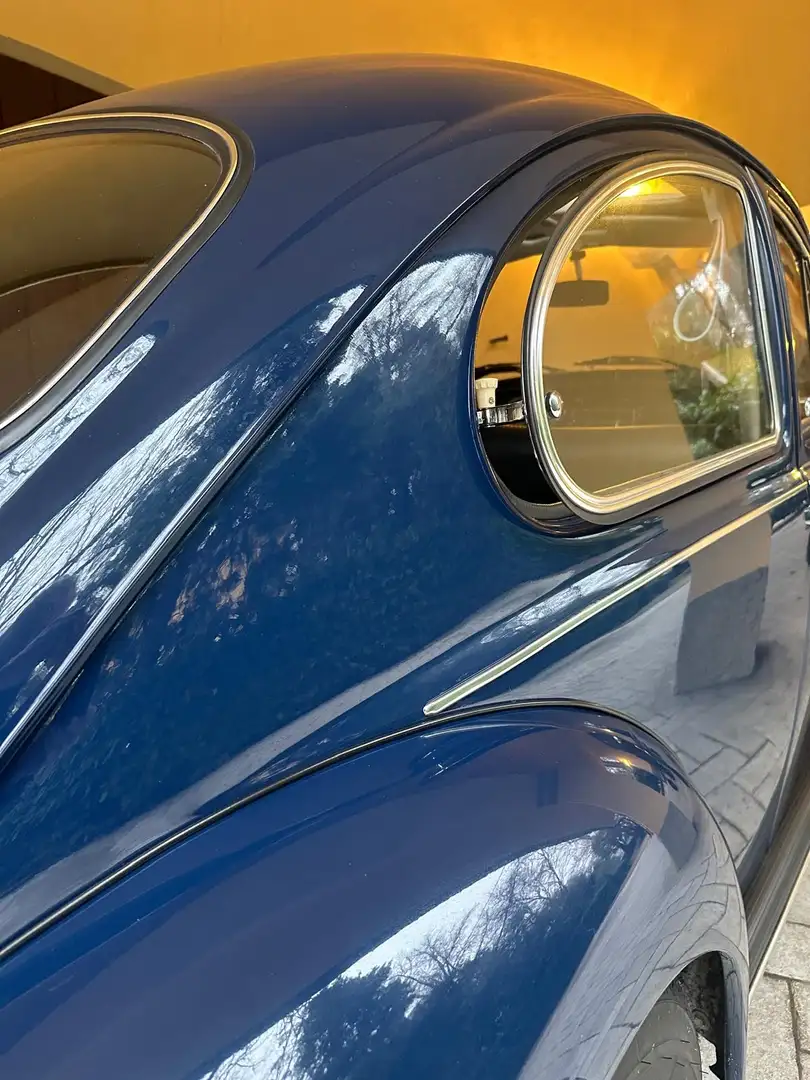 Volkswagen Maggiolino - 2