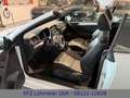Volkswagen Golf VI Cabriolet Basis BMT 1.6 TDI *Unfallfrei* Blanco - thumbnail 15