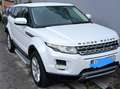 Land Rover Range Rover Evoque Evoque 2.2 eD4 2WD Prestige Tech Edition Wit - thumbnail 6