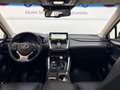 Lexus NX 300 NX Hybrid 4WD Luxury Gris - thumbnail 19