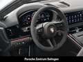 Porsche Panamera 4 PANO BOSE BeifahrerDisplay Weiß - thumbnail 13