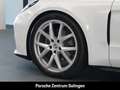 Porsche Panamera 4 PANO BOSE BeifahrerDisplay Weiß - thumbnail 9