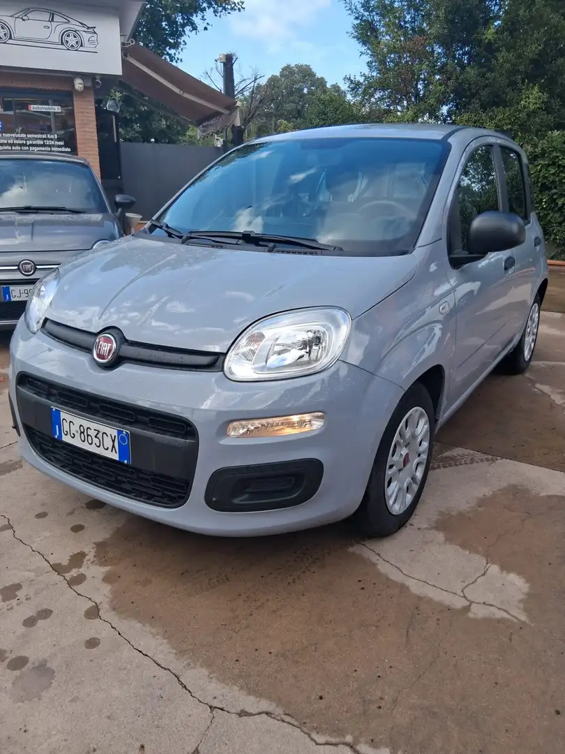 Fiat Panda Panda 1.0 FireFly S&S Hybrid Grigio - 1