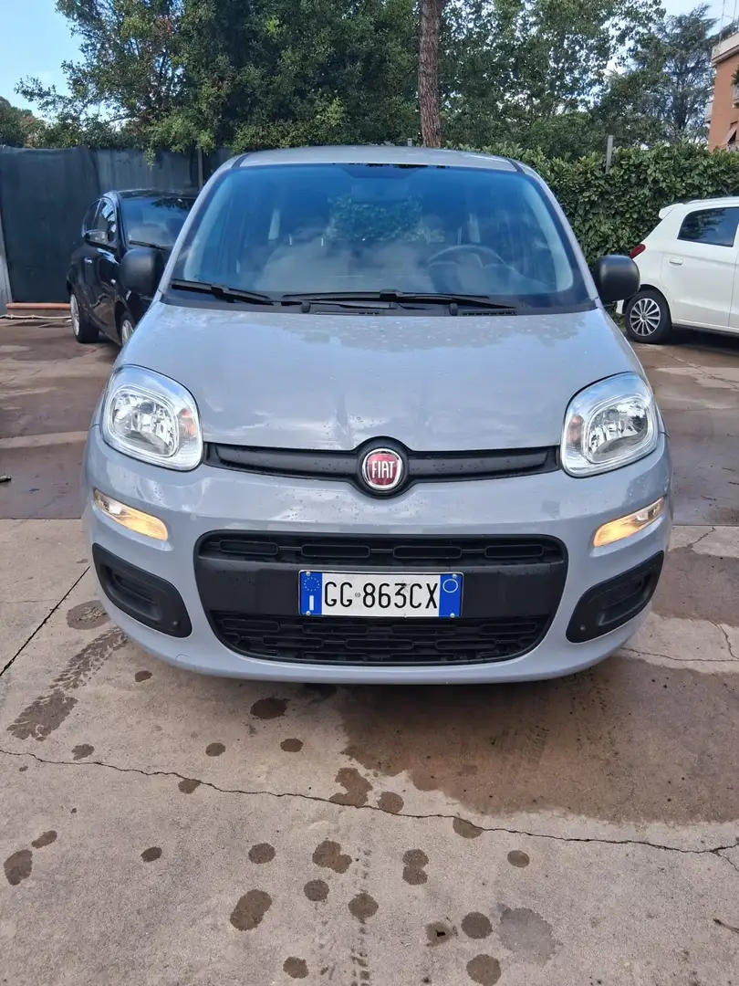 Fiat Panda Panda 1.0 FireFly S&S Hybrid Grigio - 2