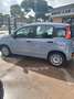 Fiat Panda Panda 1.0 FireFly S&S Hybrid Grigio - thumbnail 6