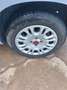 Fiat Panda Panda 1.0 FireFly S&S Hybrid Grigio - thumbnail 16