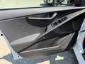 Kia Niro HEV 1.6 GDi Pace DCT**FULL**FUL**GARANTIE 2030 Wit - thumbnail 12