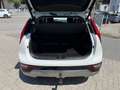 Kia Niro HEV 1.6 GDi Pace DCT**FULL**FUL**GARANTIE 2030 Wit - thumbnail 7