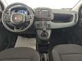 Fiat Panda Pandina 1.0 firefly hybrid s Nero - thumbnail 3