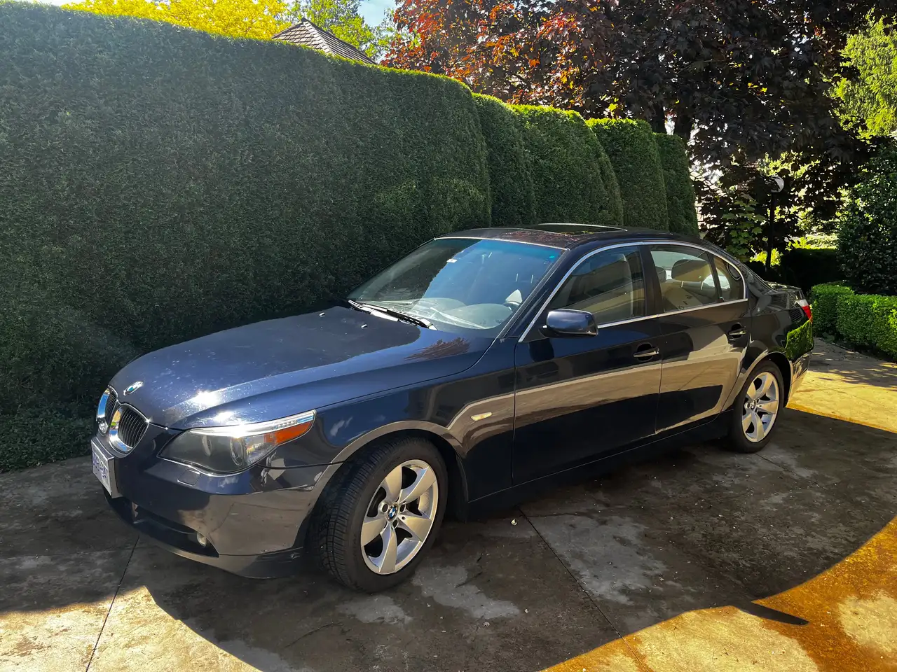 BMW 5 Series снимка BMW 5 Series