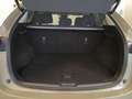 Mazda CX-5 2.5 Advantage AUTOMATIK Log-in, Head-up, 360° Бежевый  - thumbnail 6