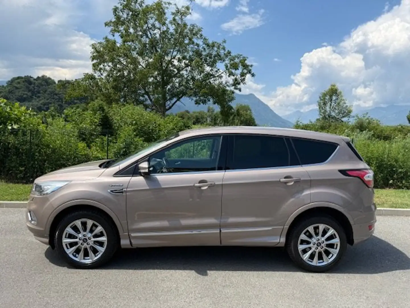 Ford Kuga Kuga II 2.0 tdci Vignale AWD Beige - 2