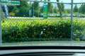 Mercedes-Benz E 300 Estate de Premium Plus Aut. Pano|Leder|Burmester|3 Grijs - thumbnail 19