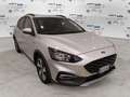 Ford Focus 1.0 EcoBoost Hybrid 125 CV 5p. Active Argento - thumbnail 1