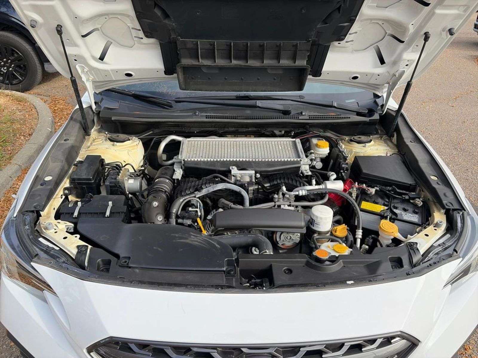 Image 9