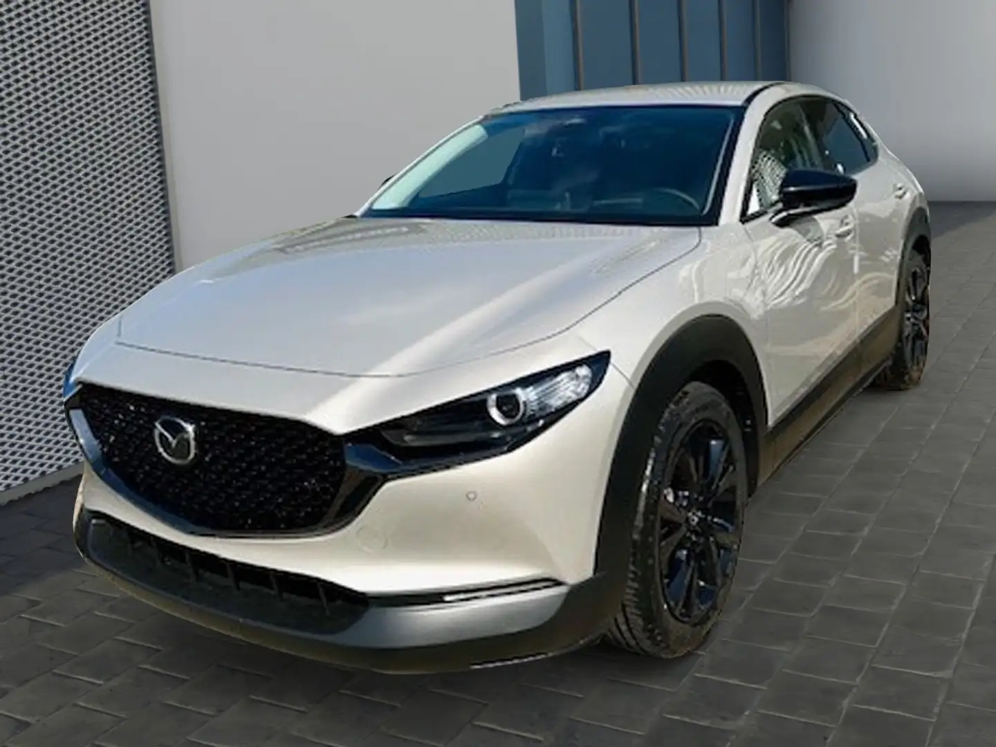 Mazda CX-30 Nagisa 2.5L e-SKYACTIV G 140 CX-30 Nagisa 2.5L e-S Braun - 1