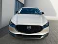 Mazda CX-30 Nagisa 2.5L e-SKYACTIV G 140 CX-30 Nagisa 2.5L e-S Braun - thumbnail 2