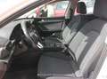 SEAT Leon 2.0TDI S&S Reference 115 - thumbnail 13