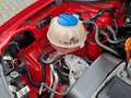 SEAT Ibiza Style Viva -----Reduziert----- Rot - thumbnail 18