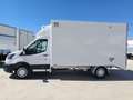 Ford Transit FT 350 Chasis Cabina 2.0 EcoBlue L3 Trend Blanco - thumbnail 6