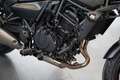Kawasaki Eliminator 500 ABS, GARANTIE bis 07/2029, 1.Hand Чёрный - thumbnail 14