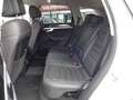 Volkswagen Touareg III 3.0 V6 tdi Exclusive 231cv IVA ESPOSTA Bianco - thumbnail 9